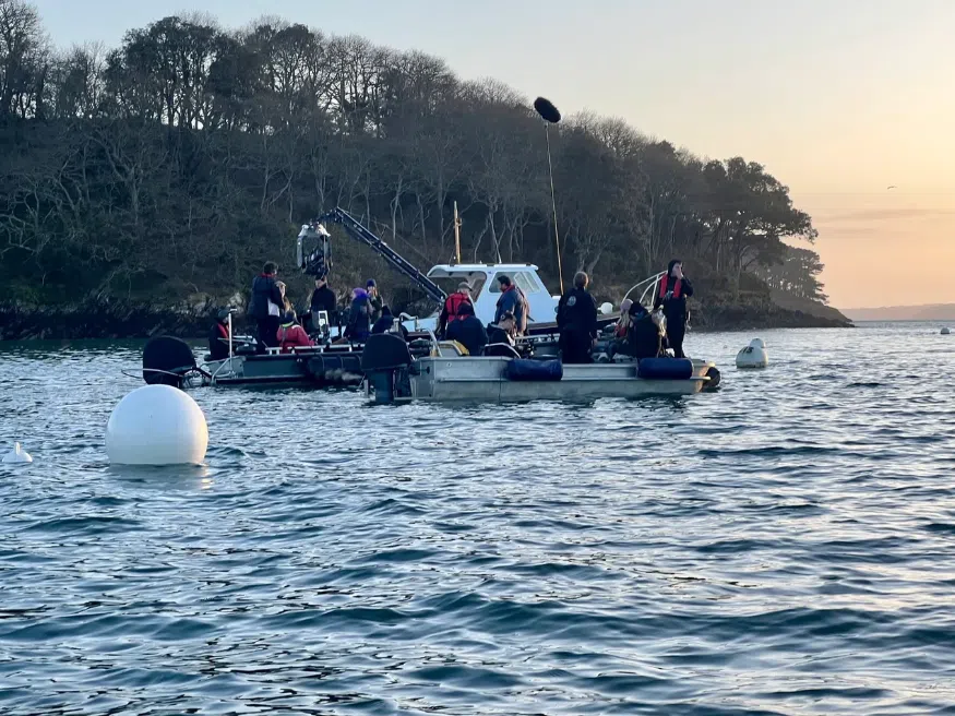 RIB Trip – Falmouth Bay, photo 5