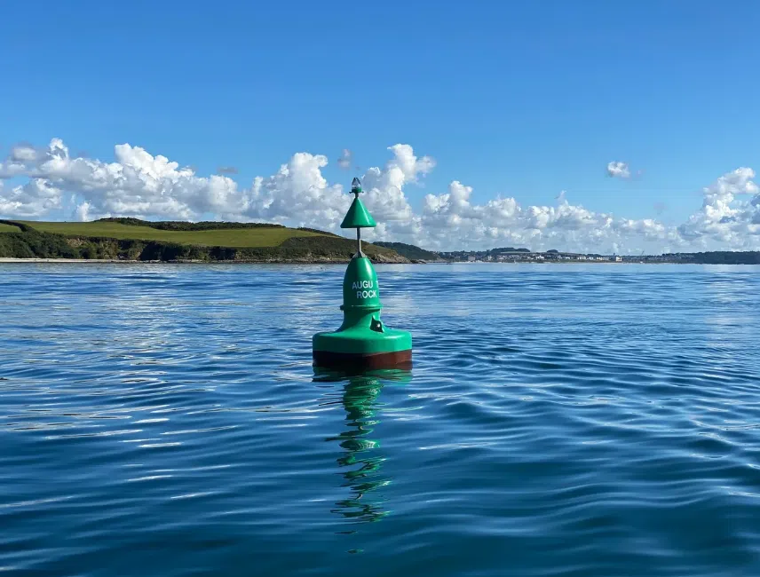RIB Trip – Falmouth Bay gallery 5