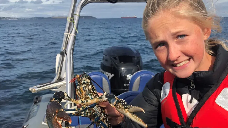 RIB Trip – Falmouth Bay gallery 6