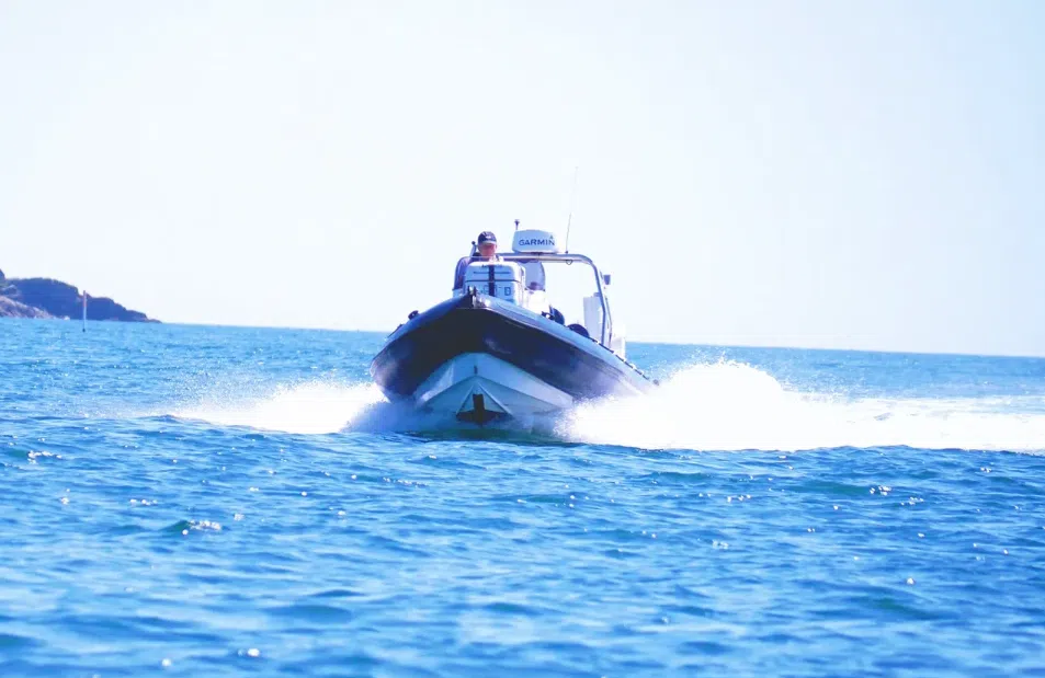 RIB Trip – Falmouth Bay gallery 8