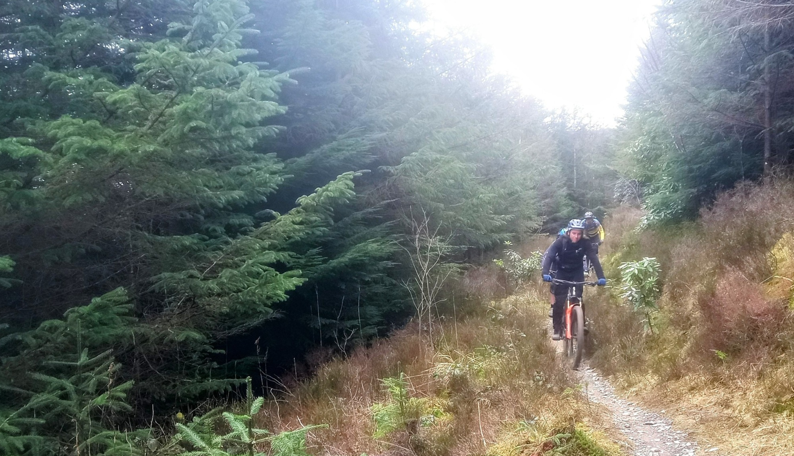 Guided Mountain Biking in North Wales gallery 3