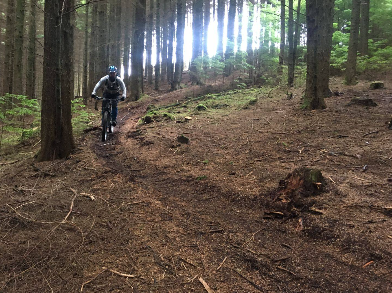Bike Hire in Eryri (Snowdonia) gallery 9