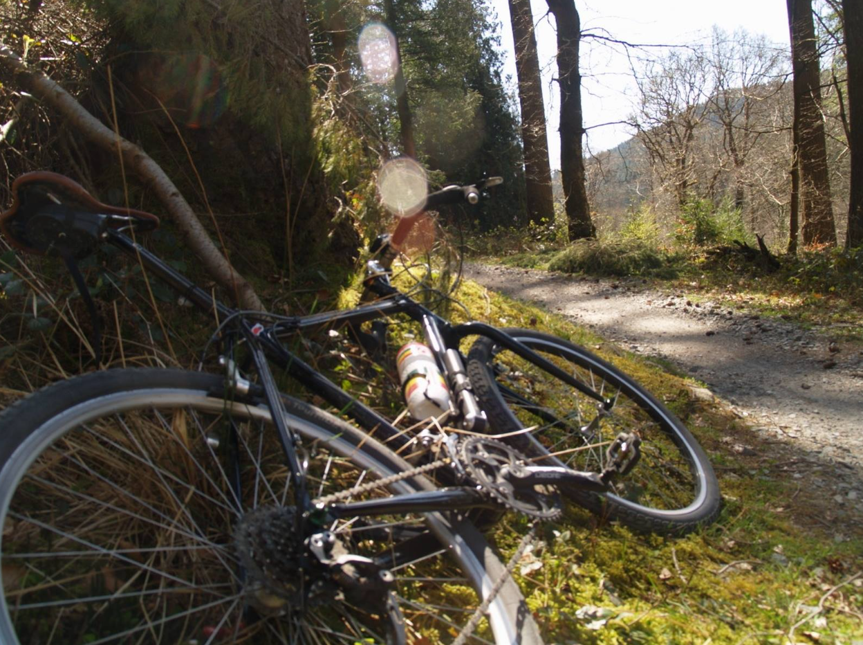 MTB Skills Coaching – Advanced MTB Course in Coed y Brenin, photo 4