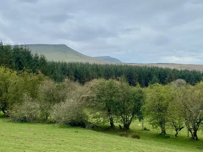 Hay-on-Wye Borders Walk: Forests, Hills, Panoramic Views, photo 2