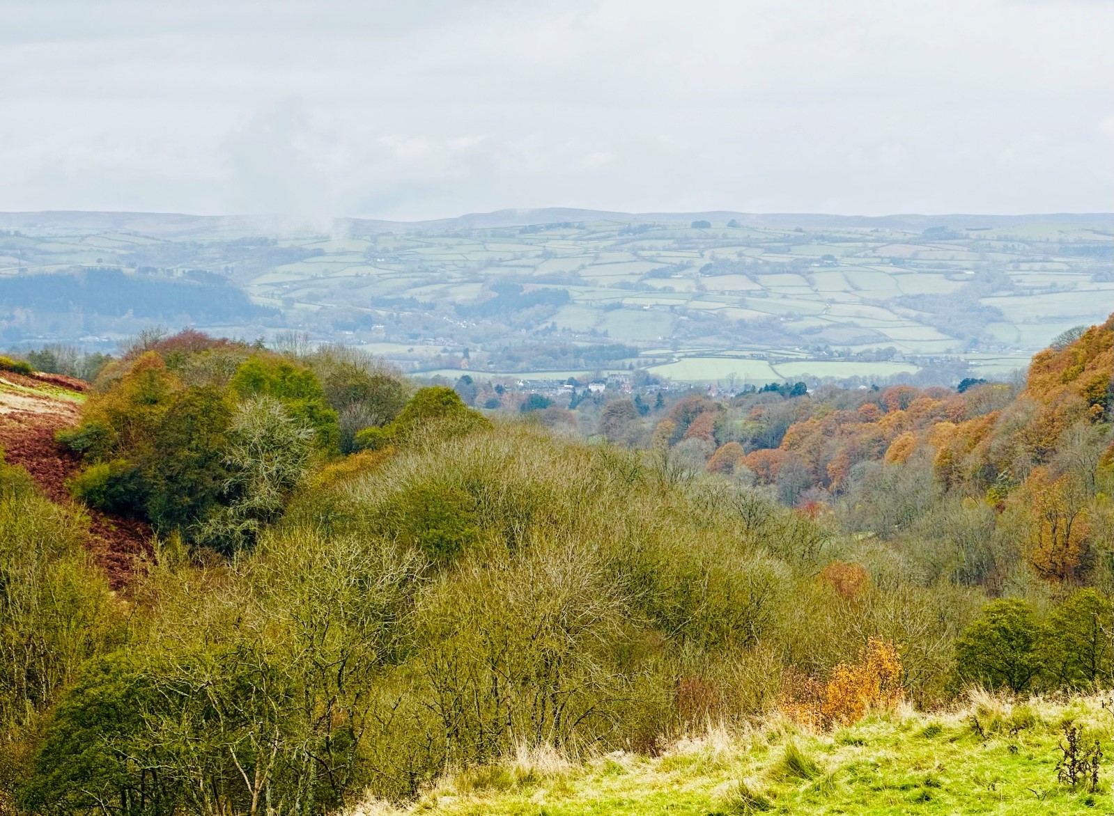 Hay-on-Wye Borders Walk: Forests, Hills, Panoramic Views, photo 3