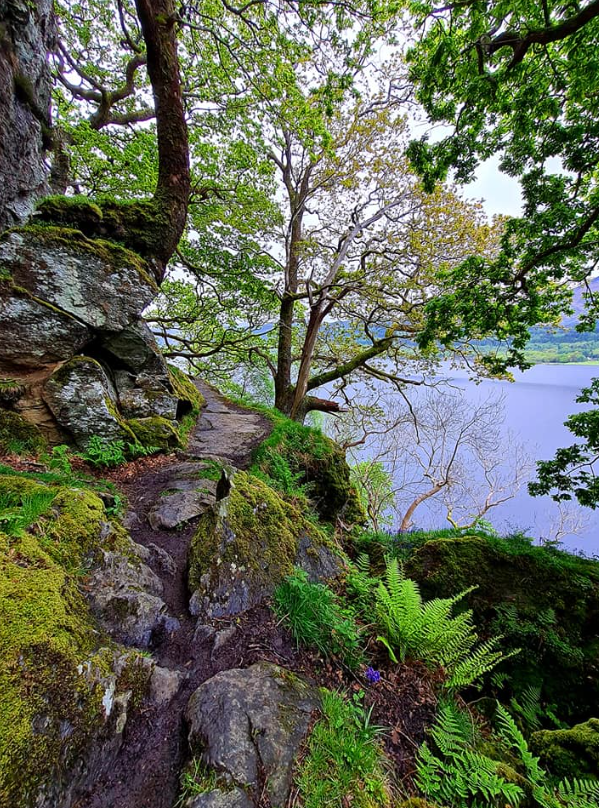 Walk the West Highland Way gallery 9