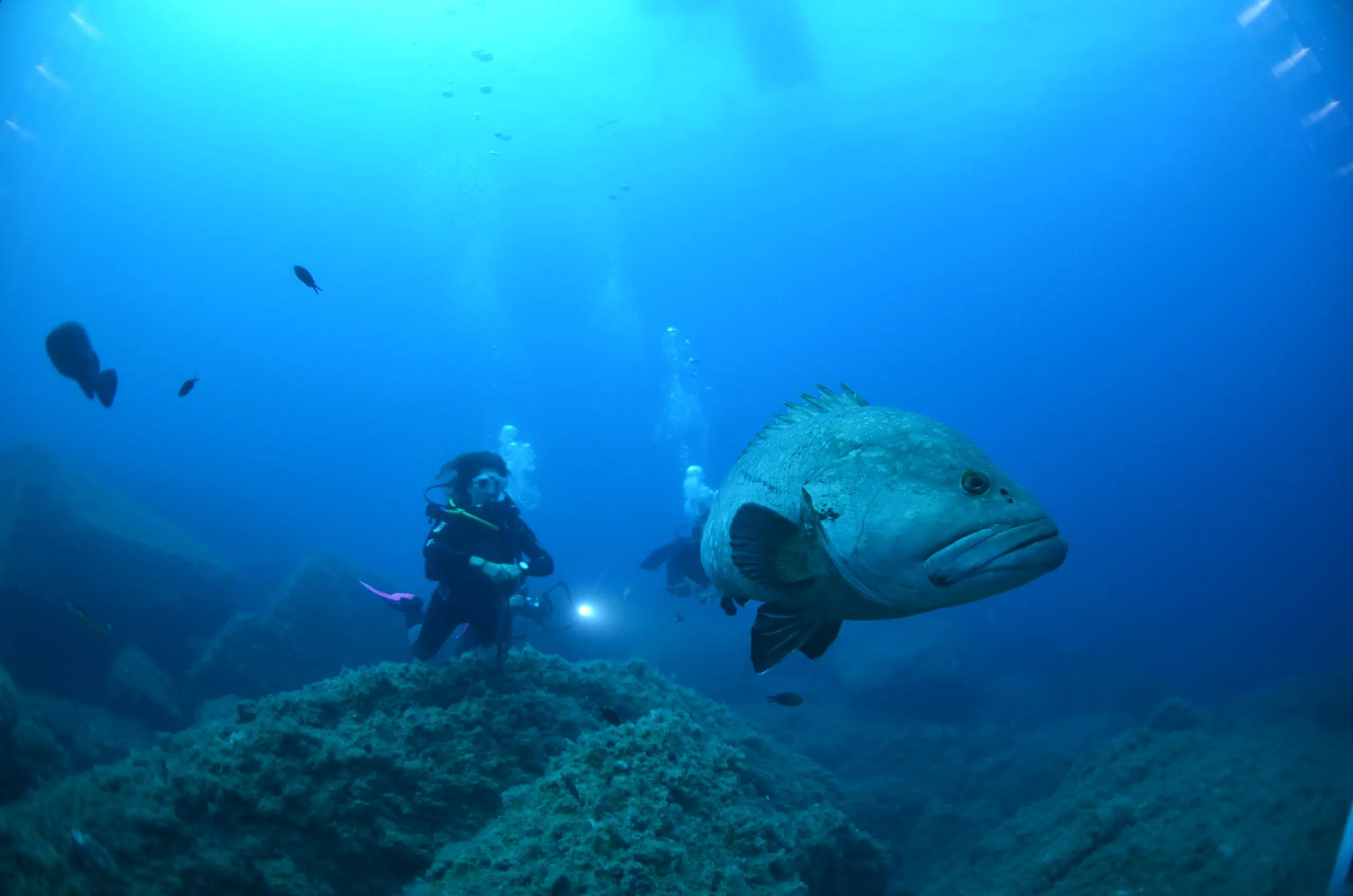 Deep Diver Course on La Maddalena Island, photo 2