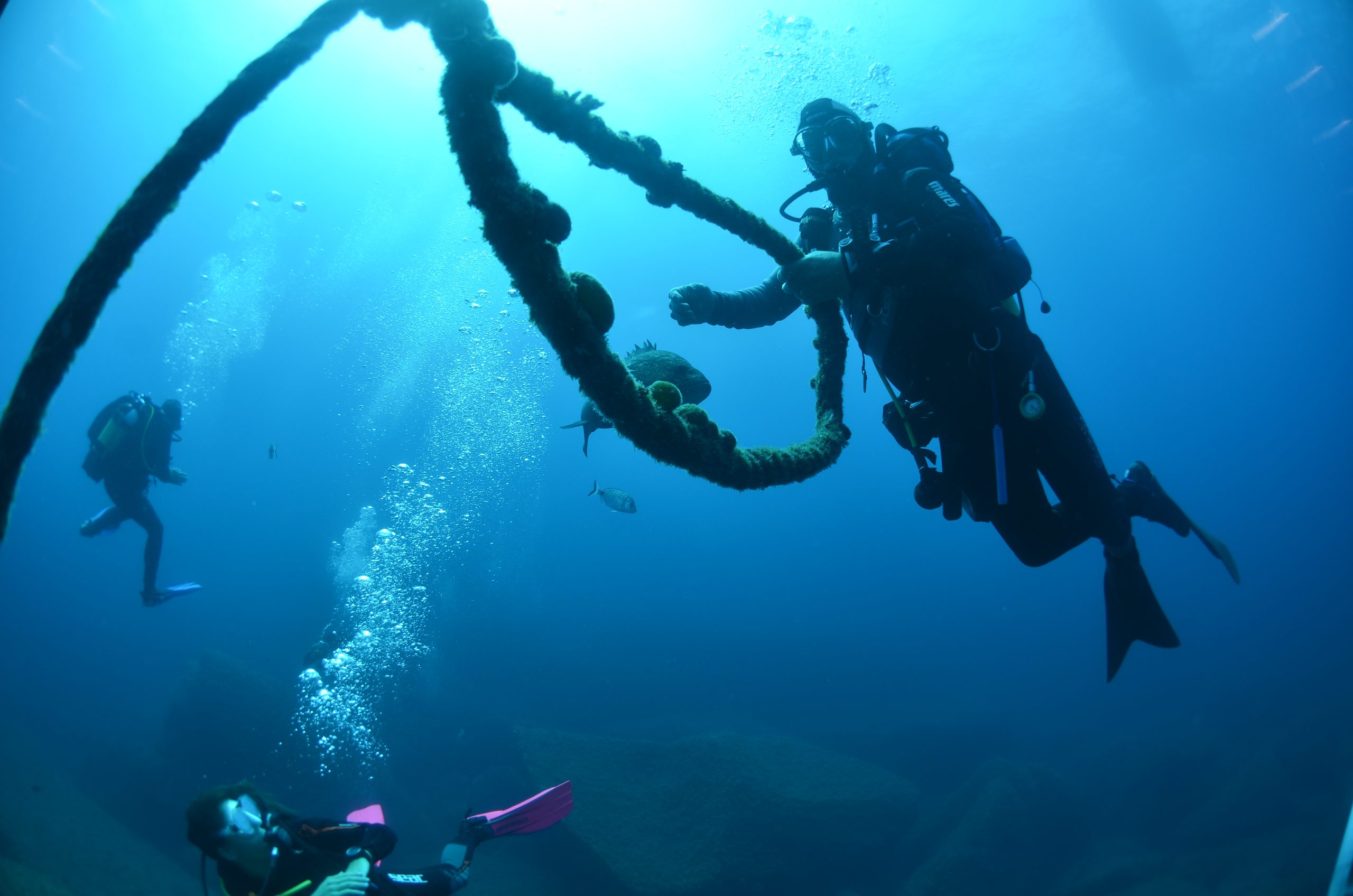 Open Water Diver Course on La Maddalena Island gallery 2