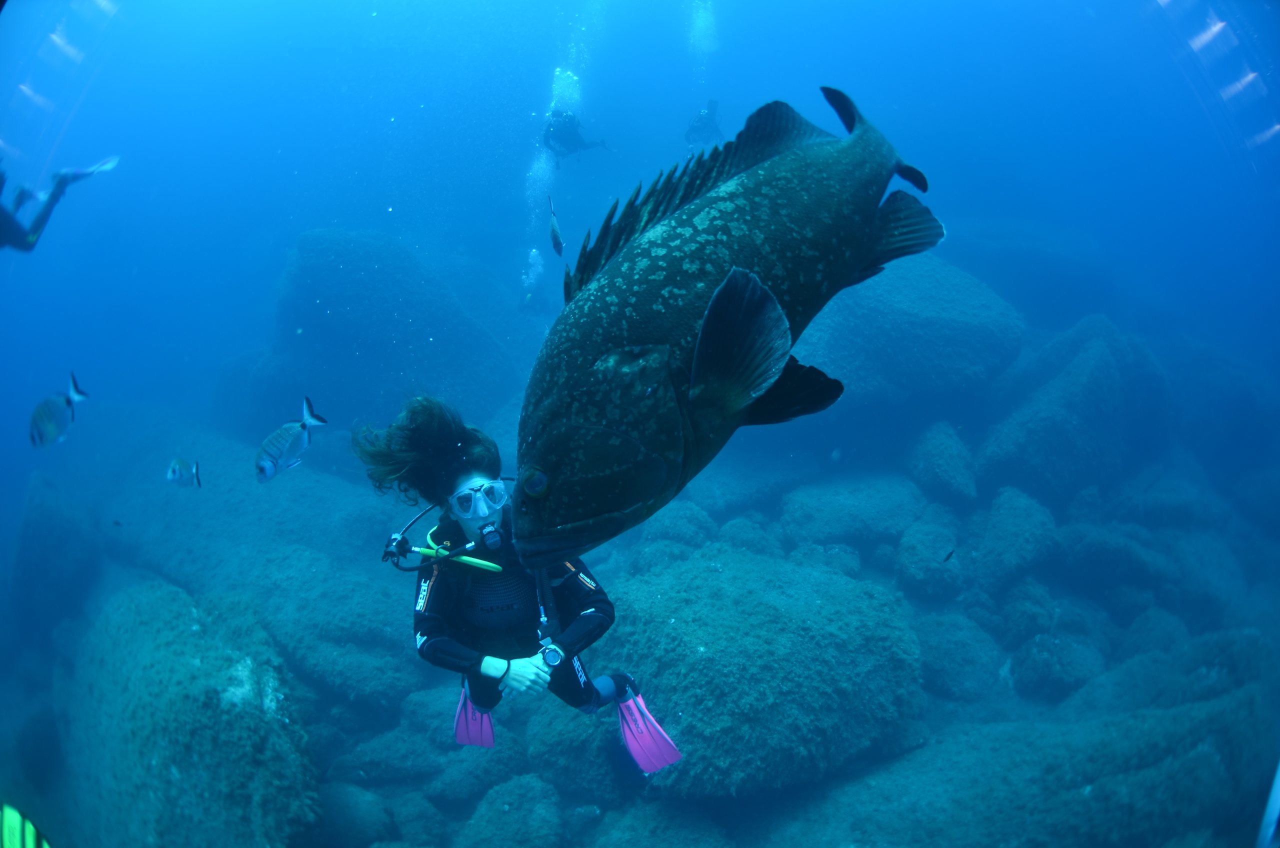 Deep Diver Course on La Maddalena Island, photo 4