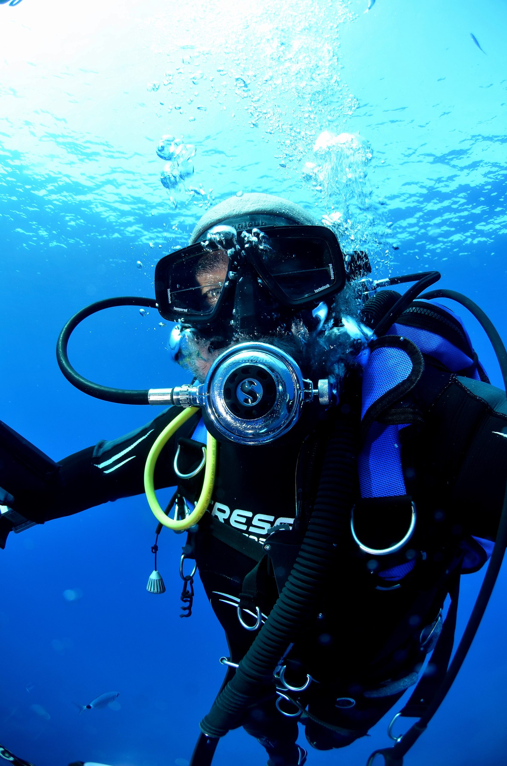 Open Water Diver Course on La Maddalena Island gallery 5