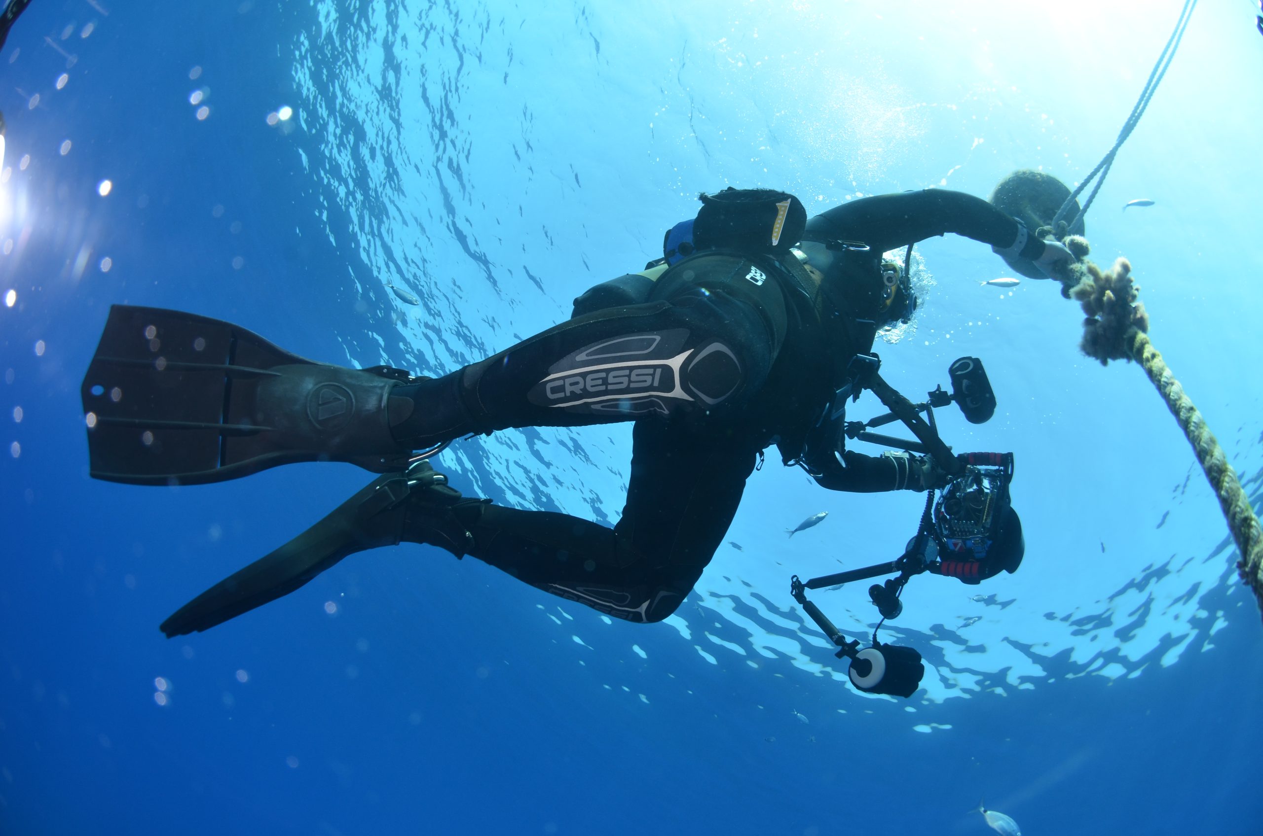 Open Water Diver Course on La Maddalena Island gallery 6