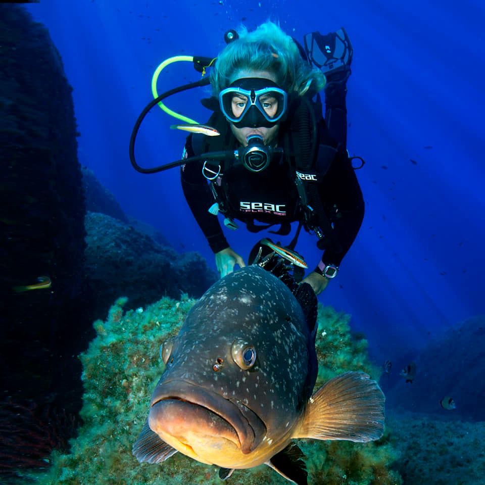 Advanced Open Water Diver on La Maddalena Island, listing photo
