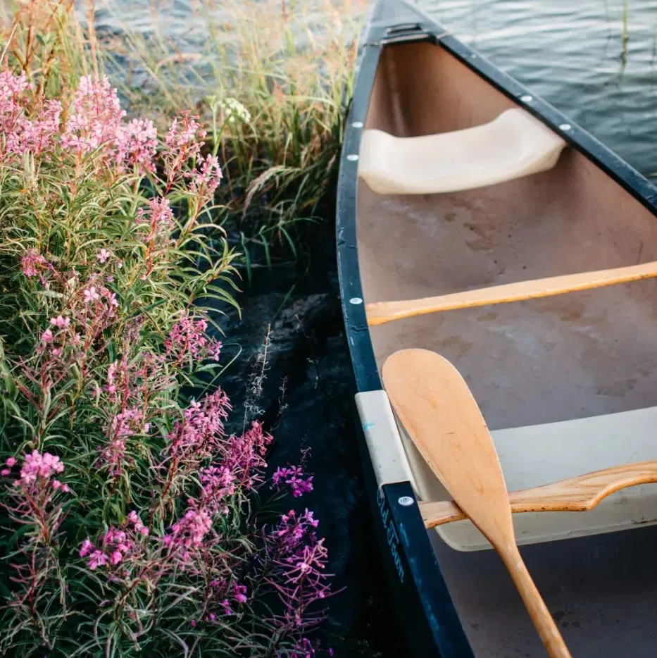 Full-Day Canoe Hire in the Norfolk Broads, photo 3
