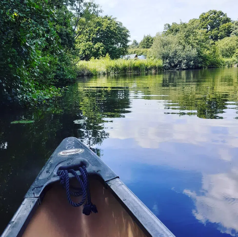 Full-Day Canoe Hire in the Norfolk Broads, photo 4