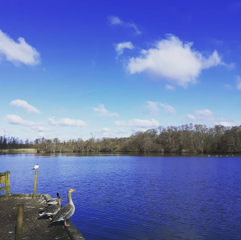 Half-Day Kayak Hire in the Norfolk Broads, photo 2