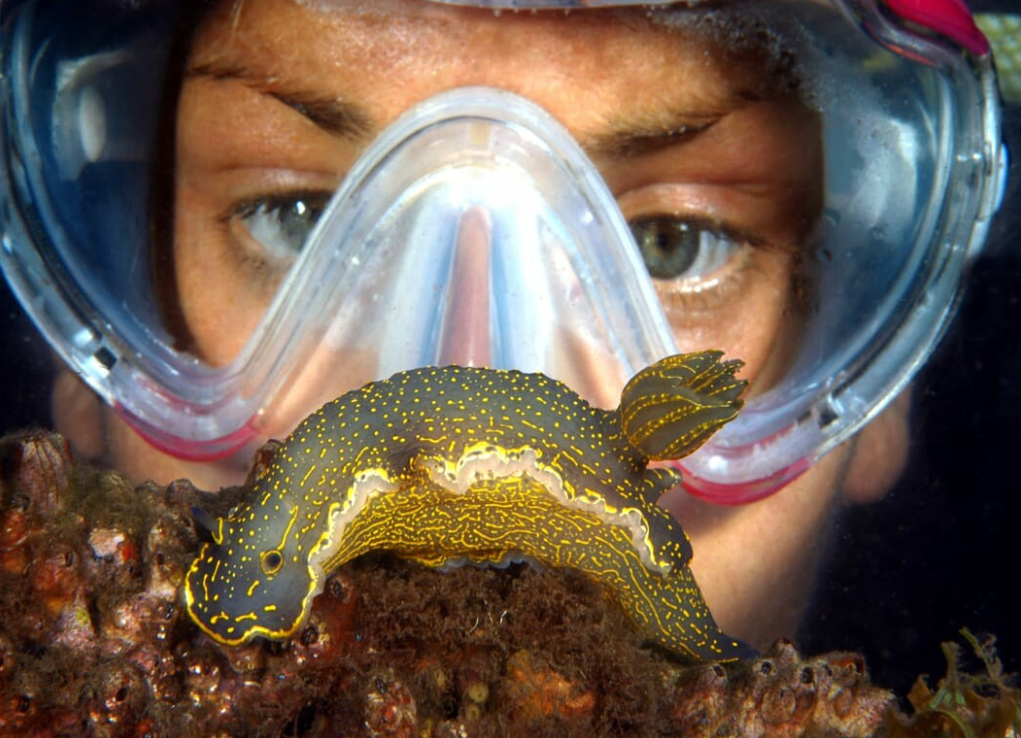 Try Dive Scuba Experience on La Maddalena Island gallery 6