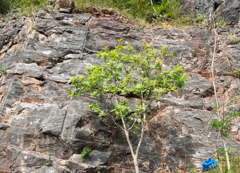 1 or 2-Day Improver Rock Climbing Sessions, photo 4