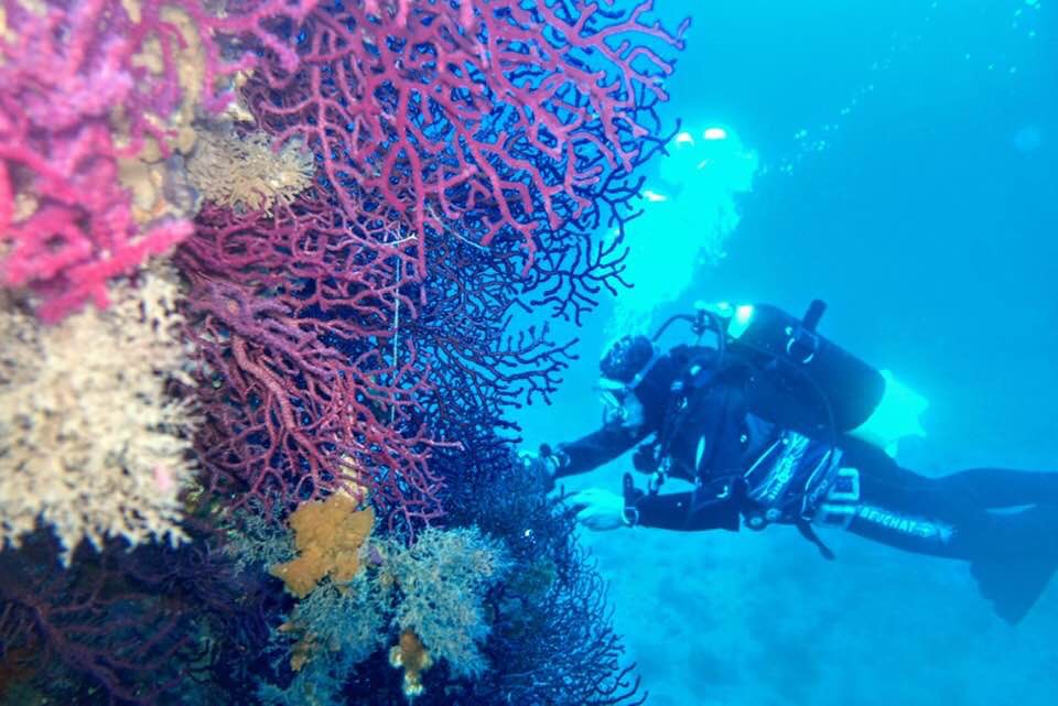 Advanced Open Water Diver on La Maddalena Island gallery 9