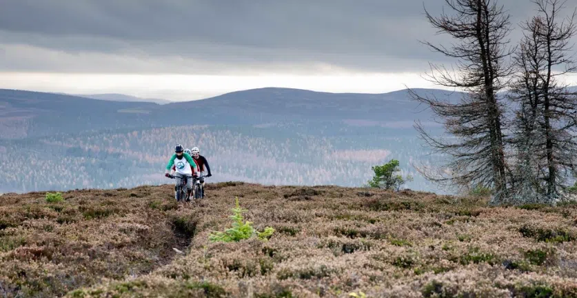 Intro to Mountain Biking Tours in Aberdeenshire, photo 2
