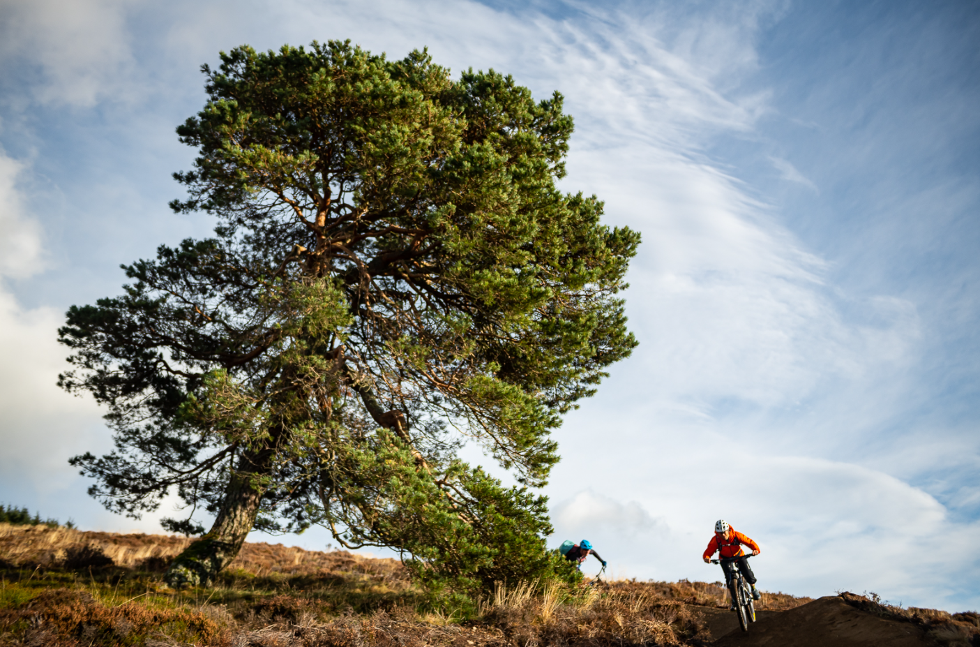 Mindful Mondays - Social Mountain Biking in Deeside, photo 3
