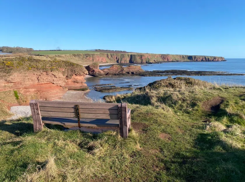 Arbroath Cliff Top Walk - Whiting Ness to Carlingheugh Bay, photo 5