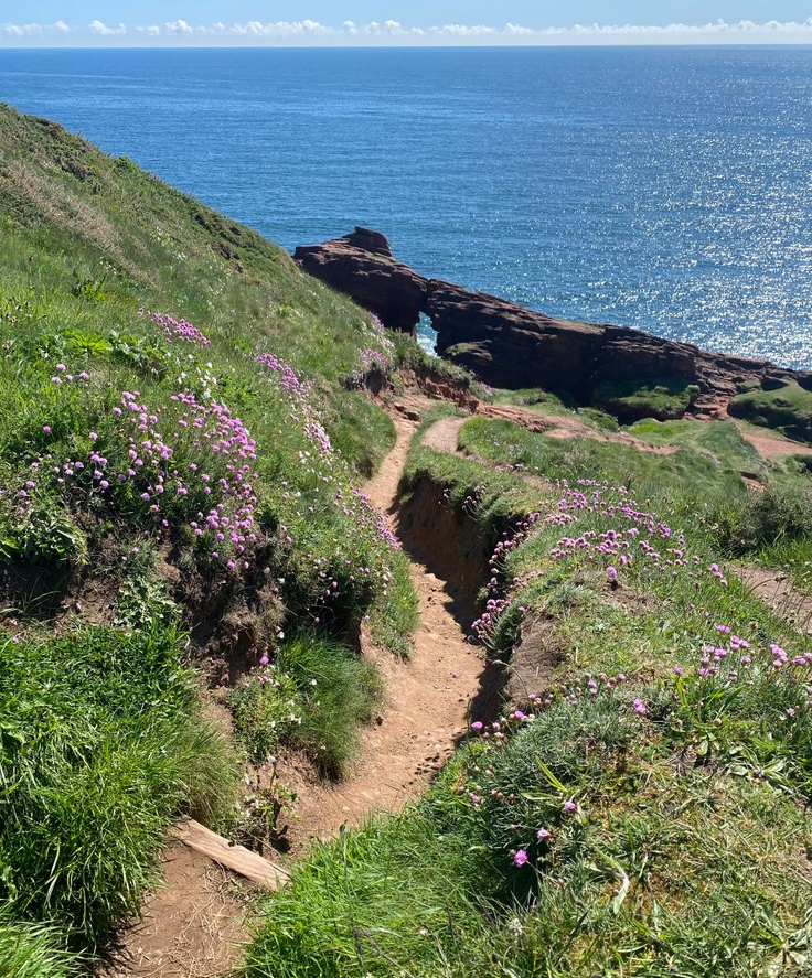 Arbroath Cliff Top Walk - Whiting Ness to Carlingheugh Bay gallery 3
