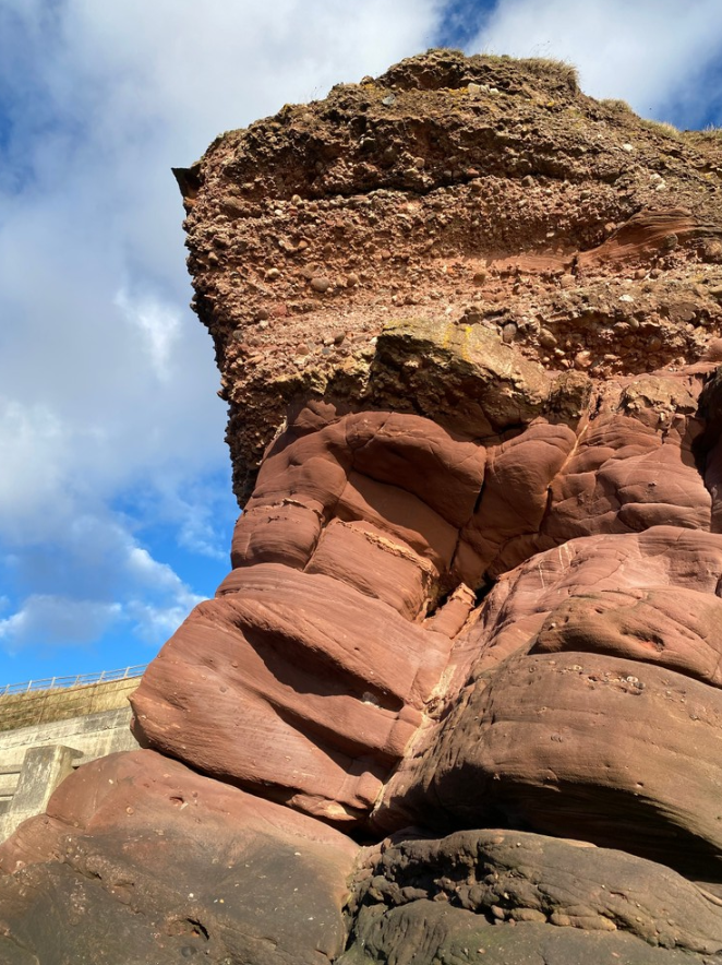 Arbroath Cliff Top Walk - Whiting Ness to Carlingheugh Bay gallery 8