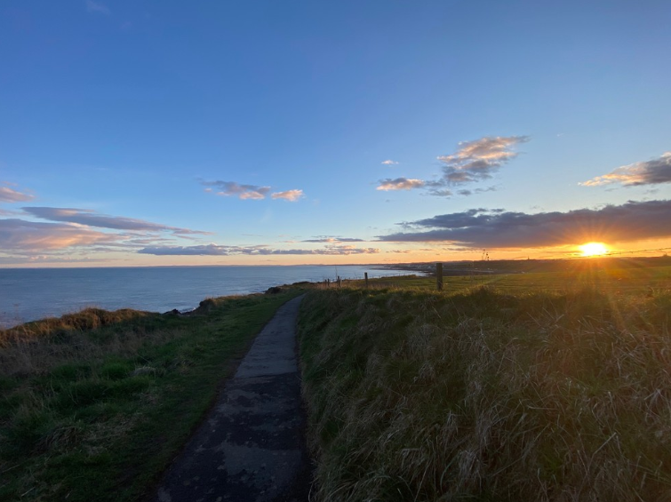 Arbroath Cliff Top Walk - Whiting Ness to Carlingheugh Bay gallery 10