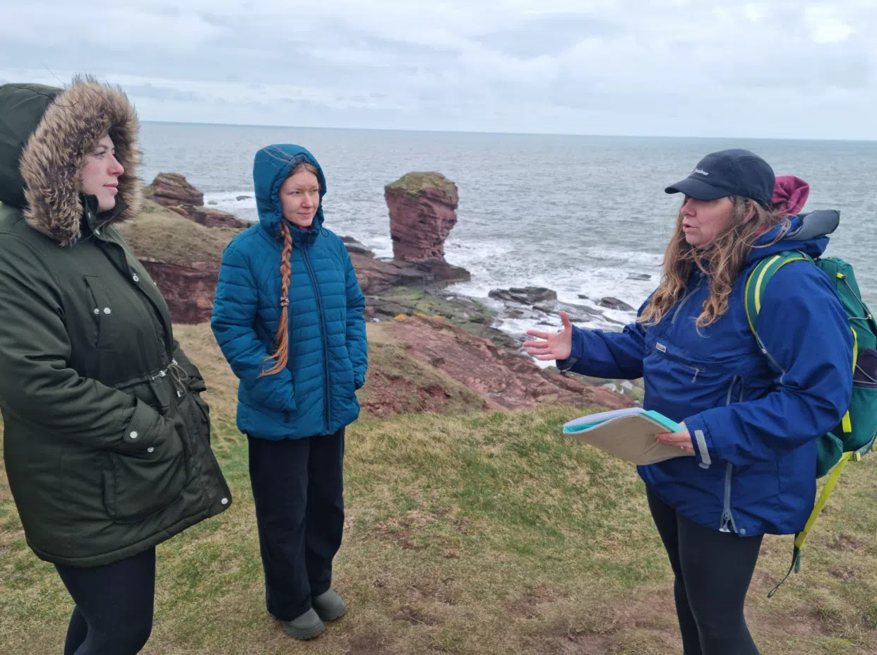 Arbroath Cliff Top Walk - Whiting Ness to Carlingheugh Bay, photo 4