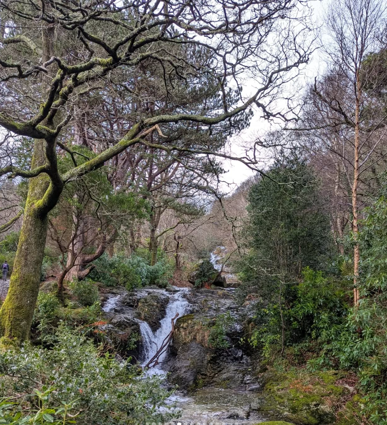 Mournes Hiking Adventures in Northern Ireland gallery 4