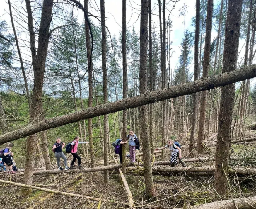 Bushcraft Skills Session in Crieff, Scotland, photo 2