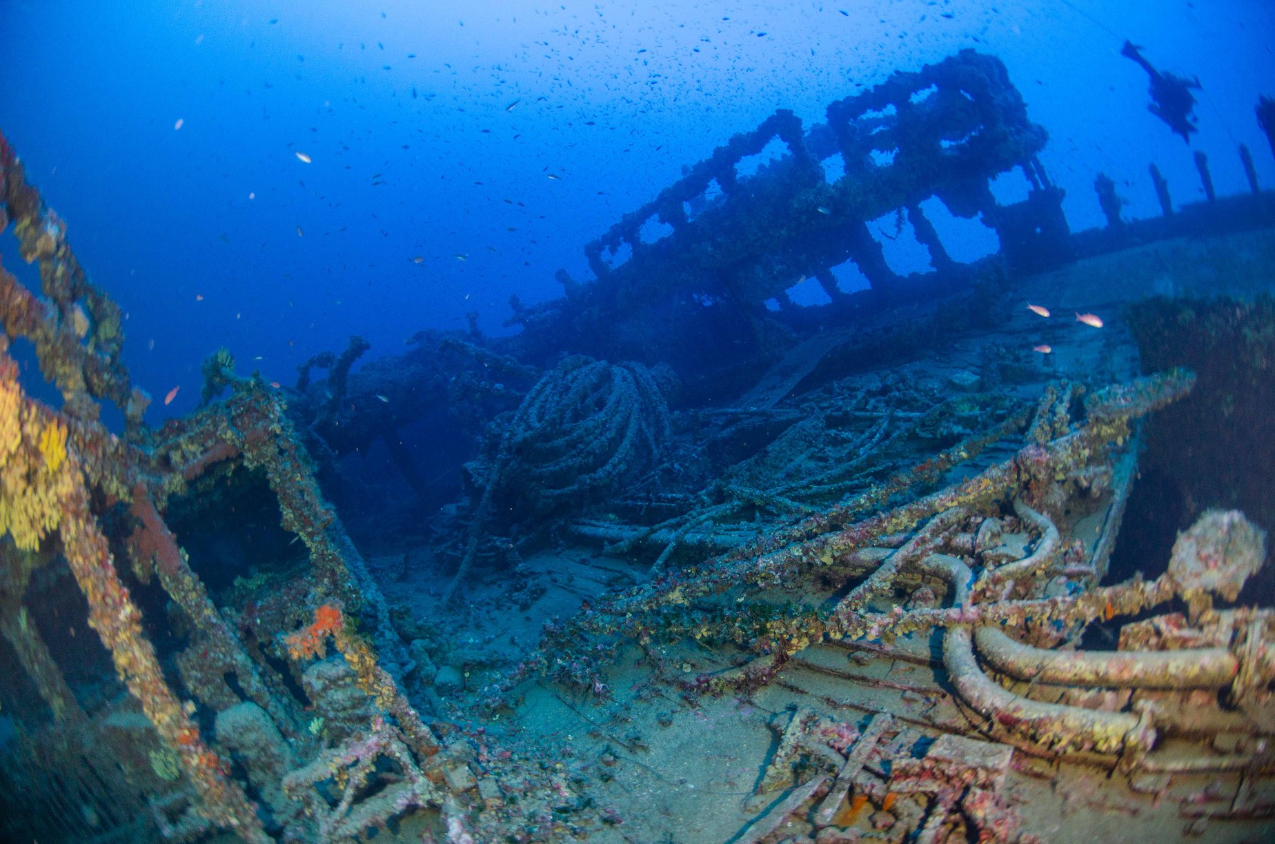 Wreck Diver Course in East of England, photo 2