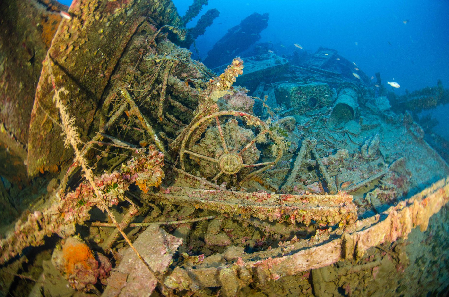 Wreck Diver Course in East of England, photo 3