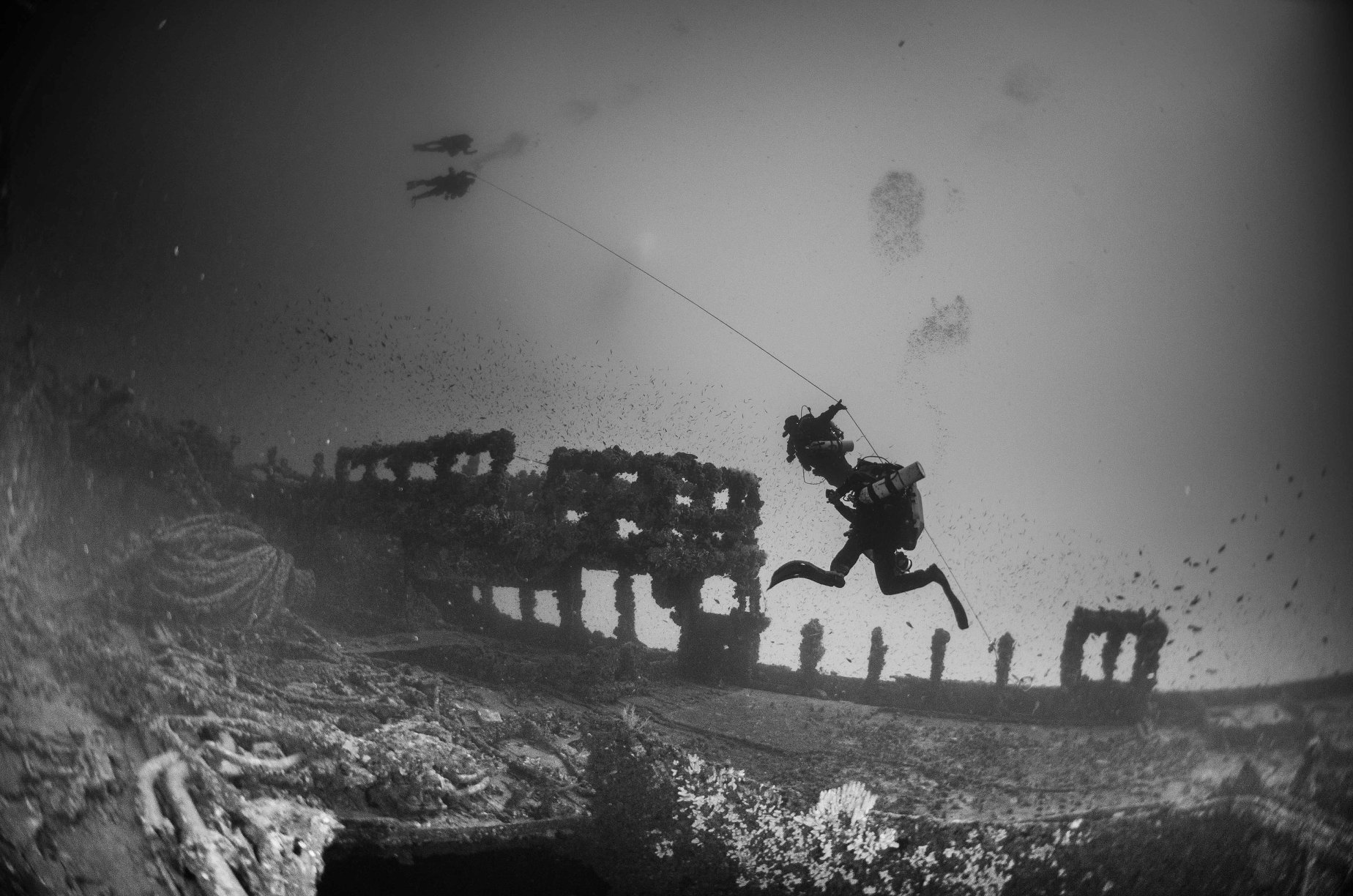 Advanced Rebreather Diver certification