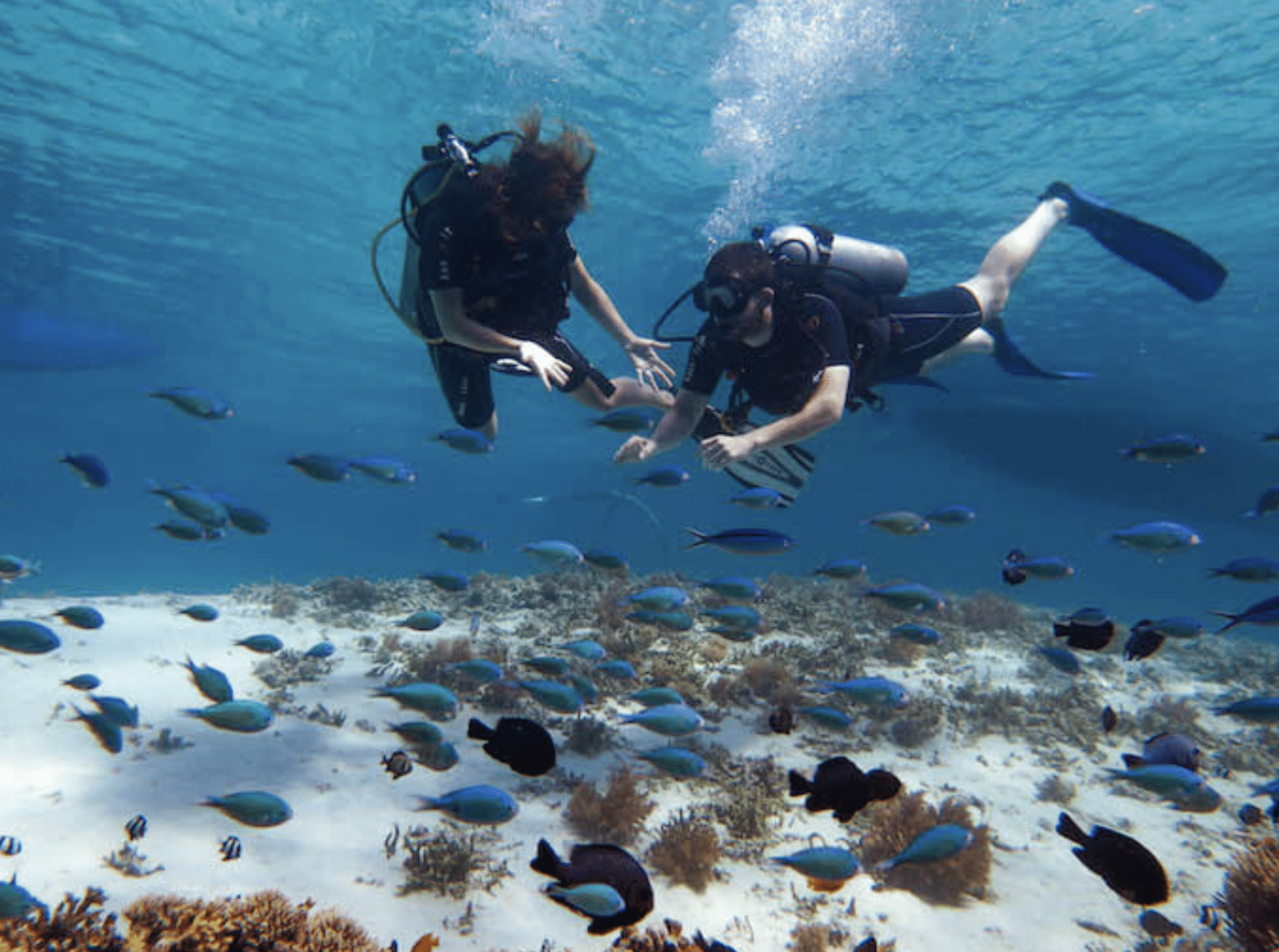 PADI Bubblemaker Course (8+), photo 3