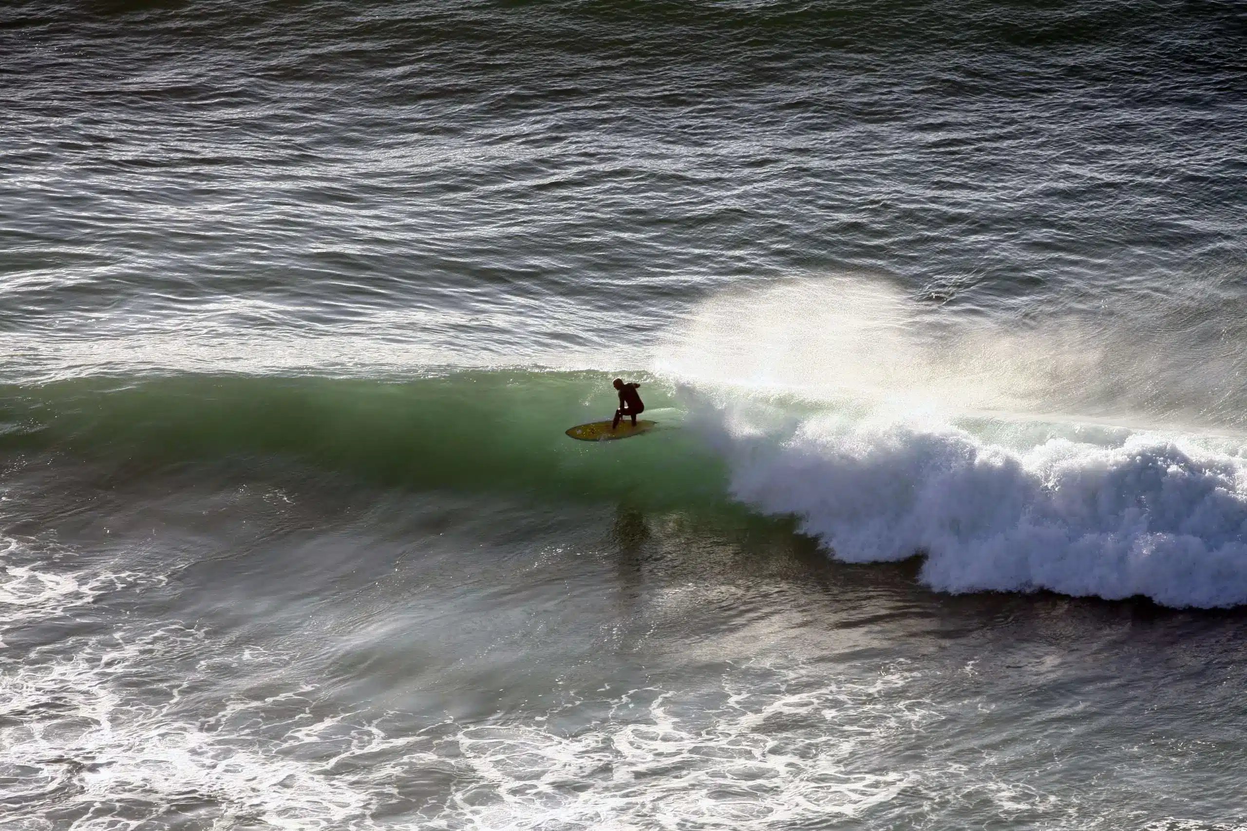 Specialist Surf Sessions, photo 2