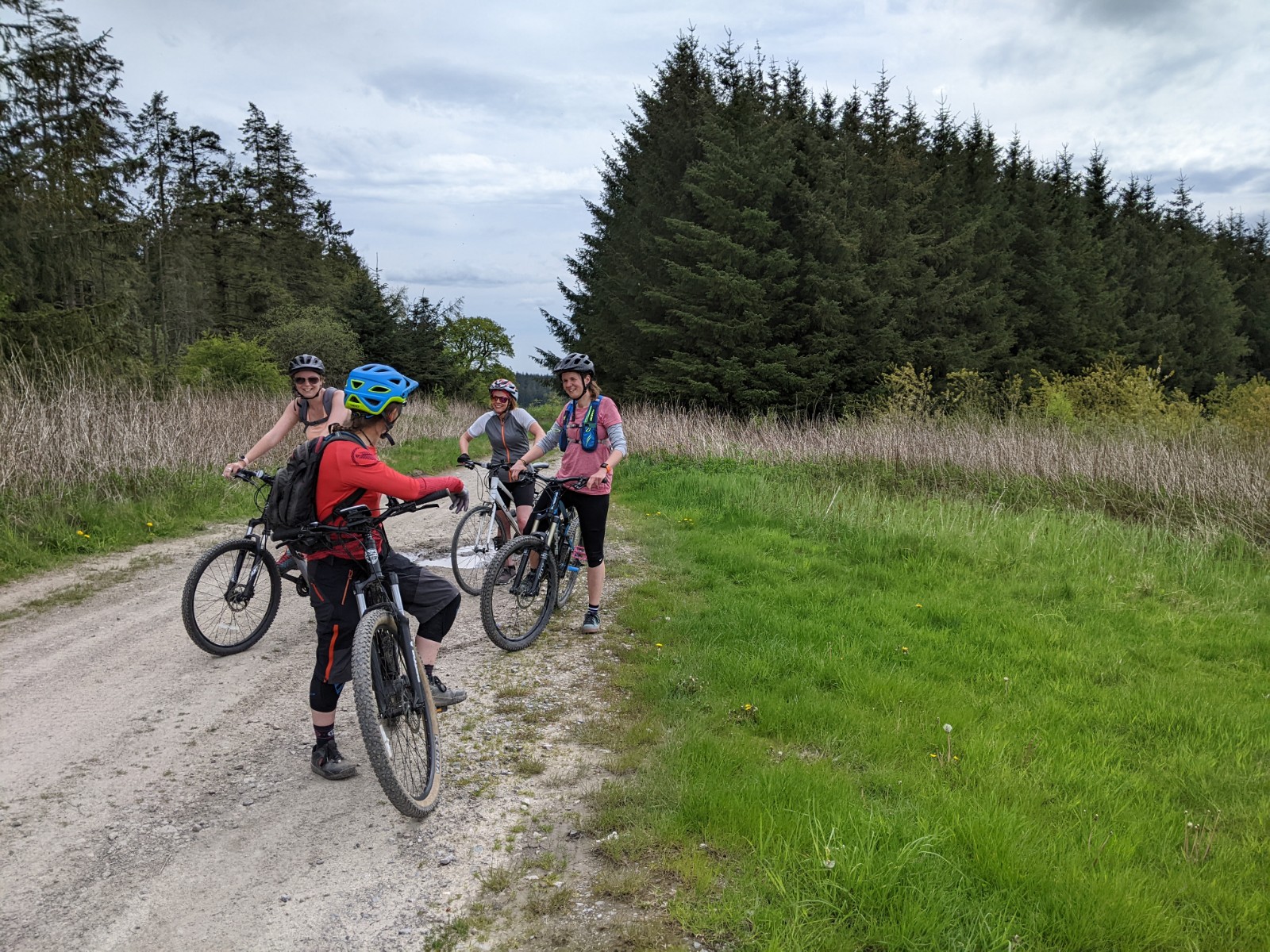 Bike and E-Bike Hire in Llangollen, North Wales gallery 4