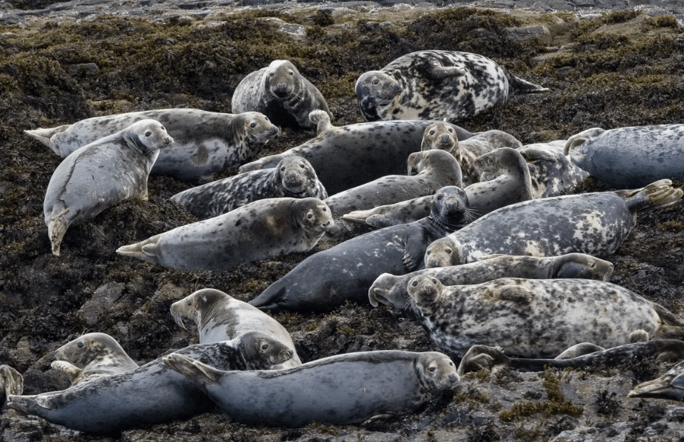 Guided Diving – You Choose The Location gallery 4