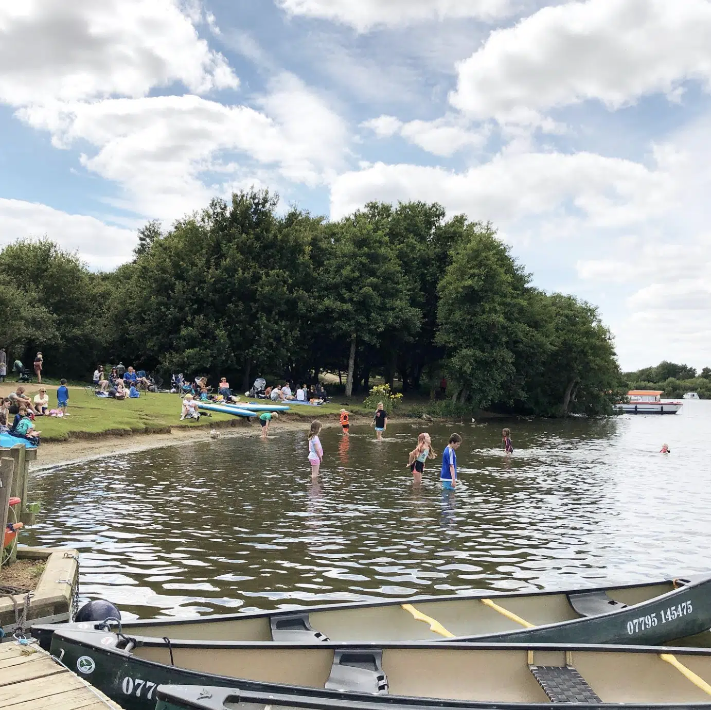 Half-Day Canoe Hire in the Norfolk Broads, photo 2