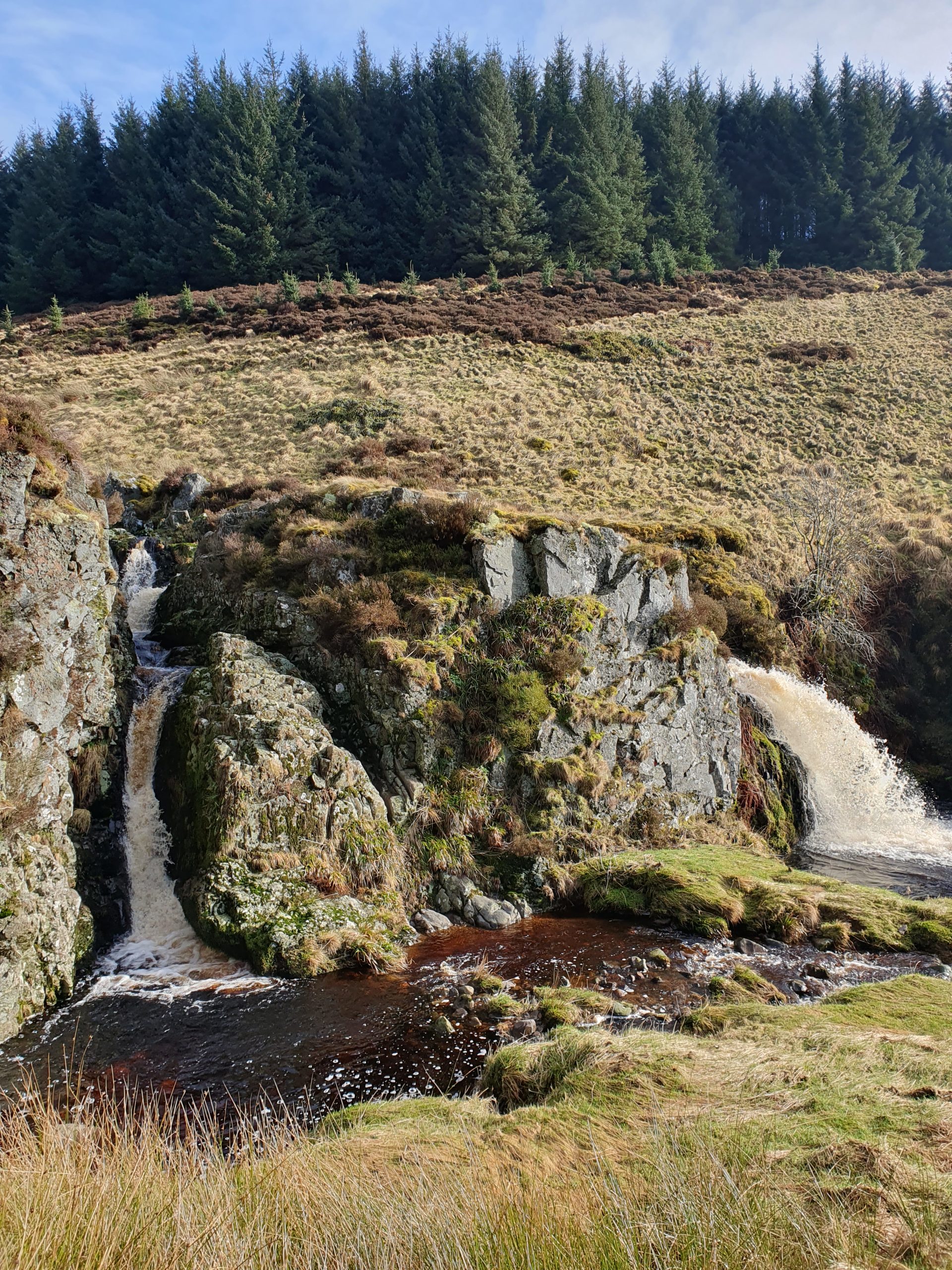 Private Three Cheviots Winter Waterfalls Hike, photo 4
