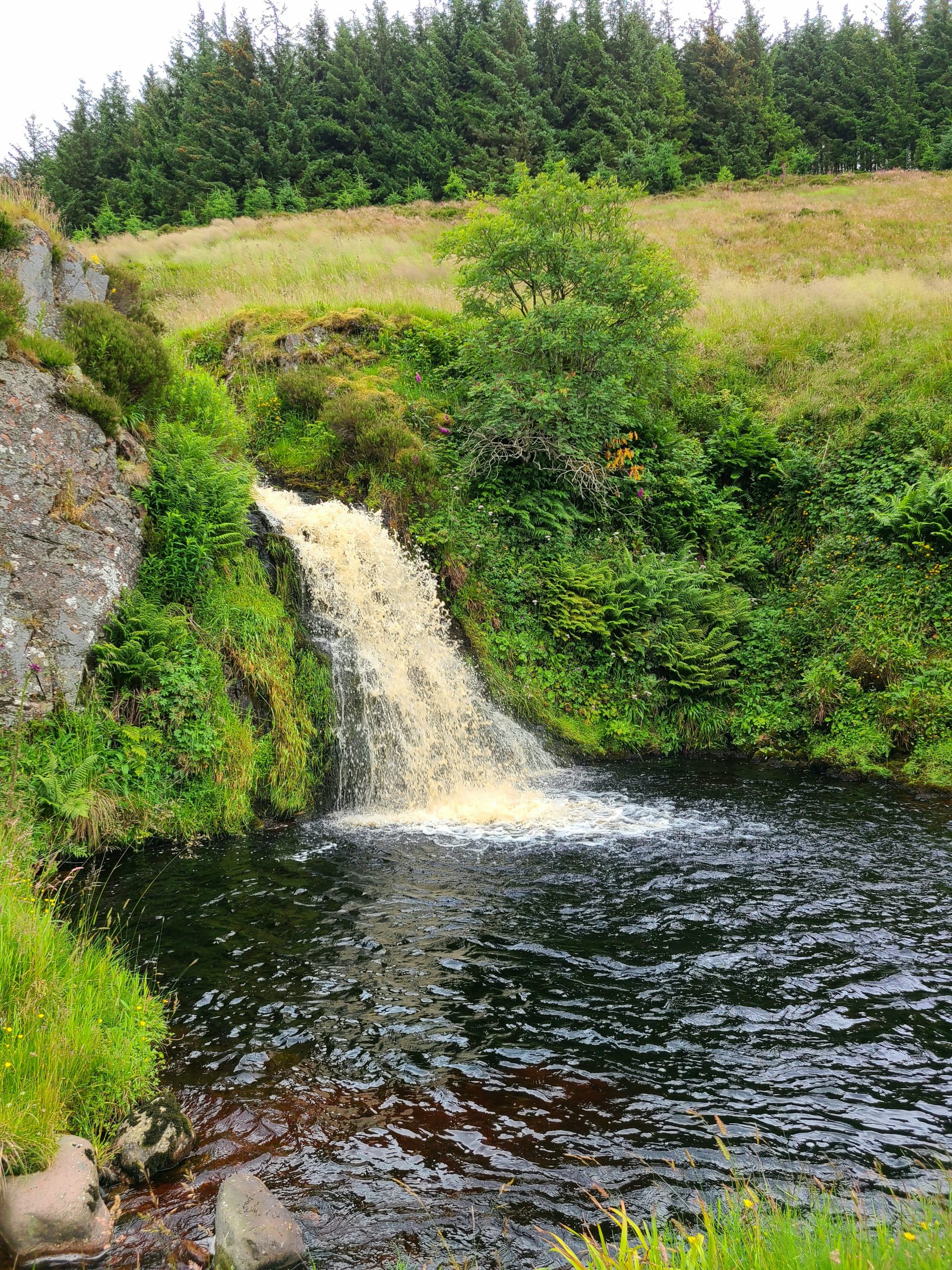 Private Three Cheviots Winter Waterfalls Hike gallery 2