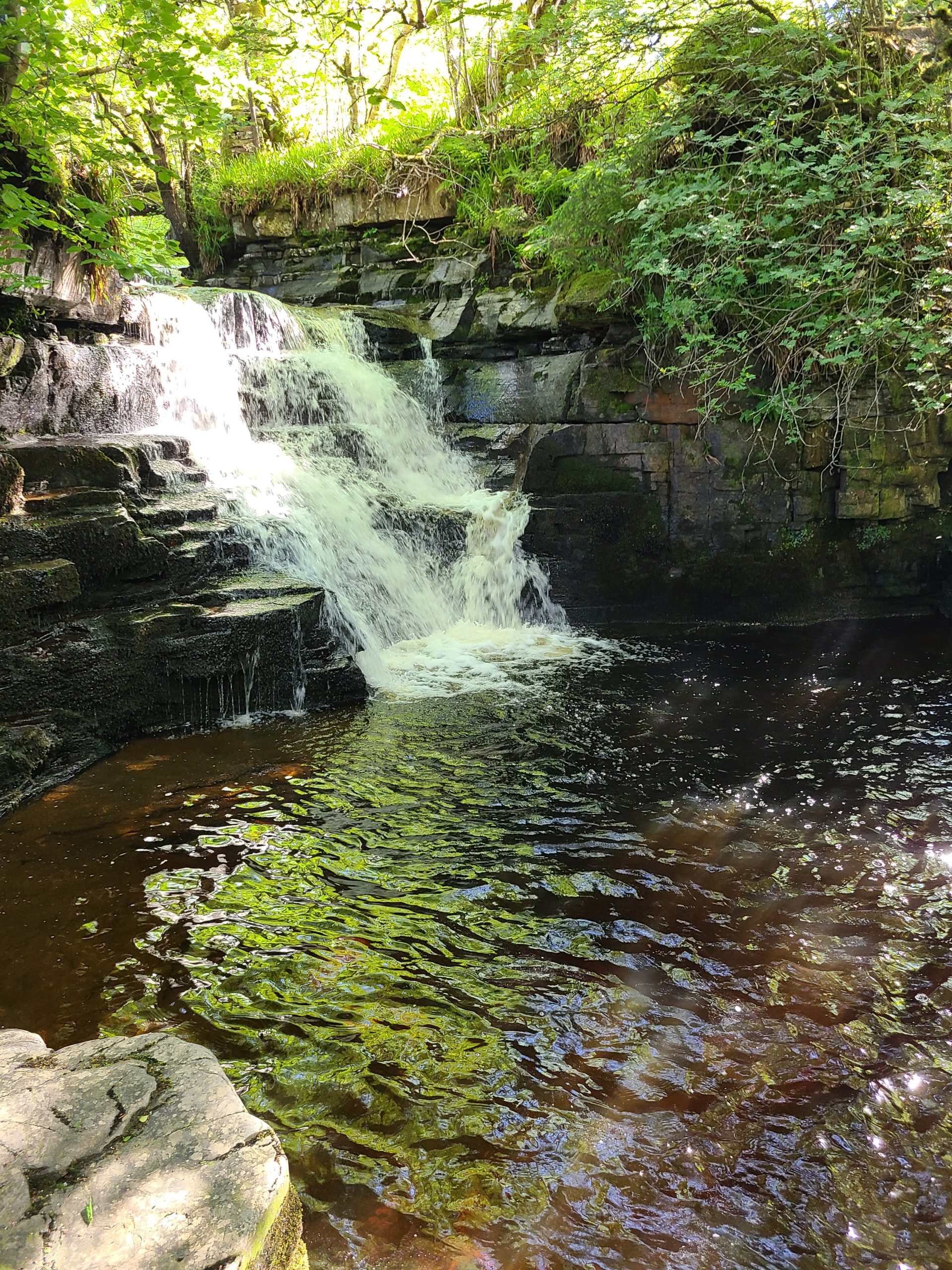 Private Walk and Wild Swim – North Pennines Waterfalls, photo 4
