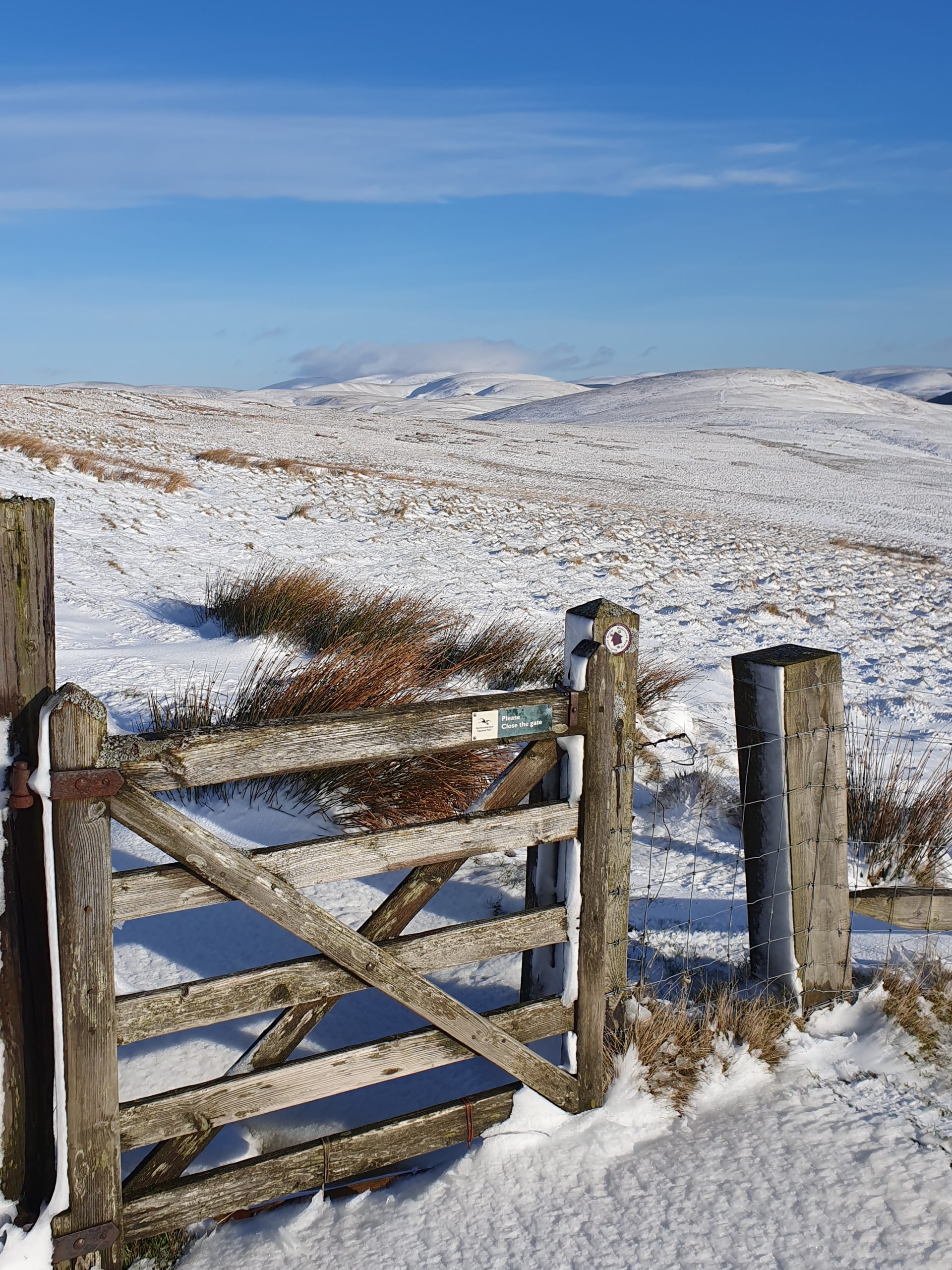 Private Three Cheviots Winter Waterfalls Hike gallery 3