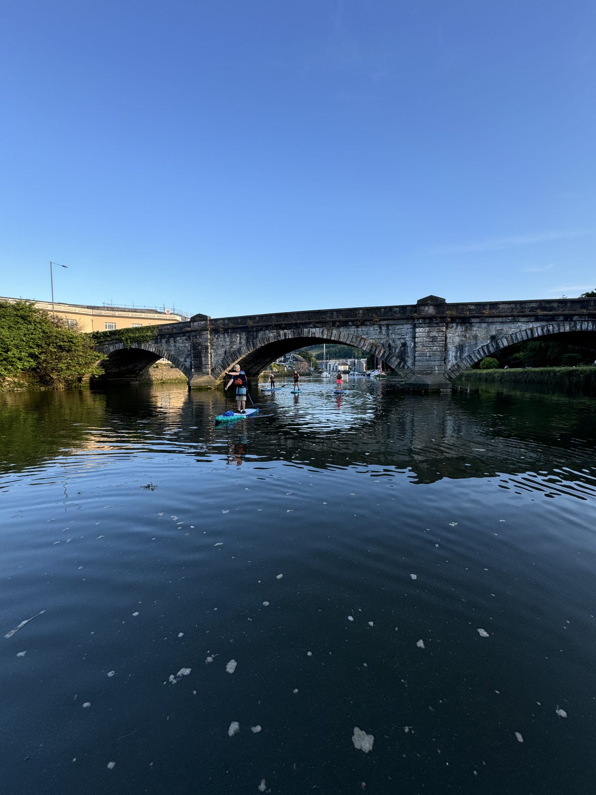 3-Hour River SUP Tour along the River Dart, Totnes, photo 3