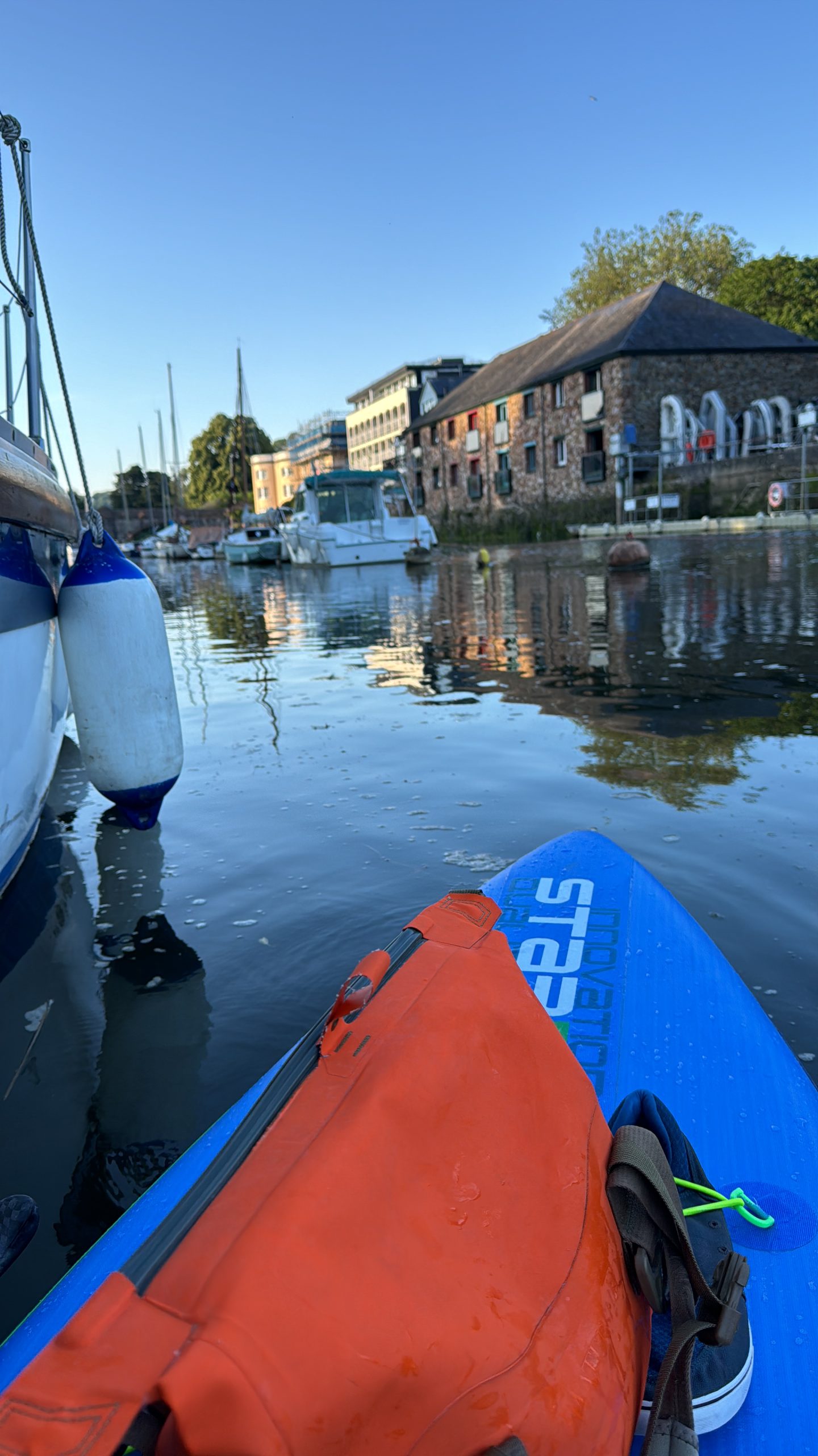 3-Hour River SUP Tour along the River Dart, Totnes, photo 4