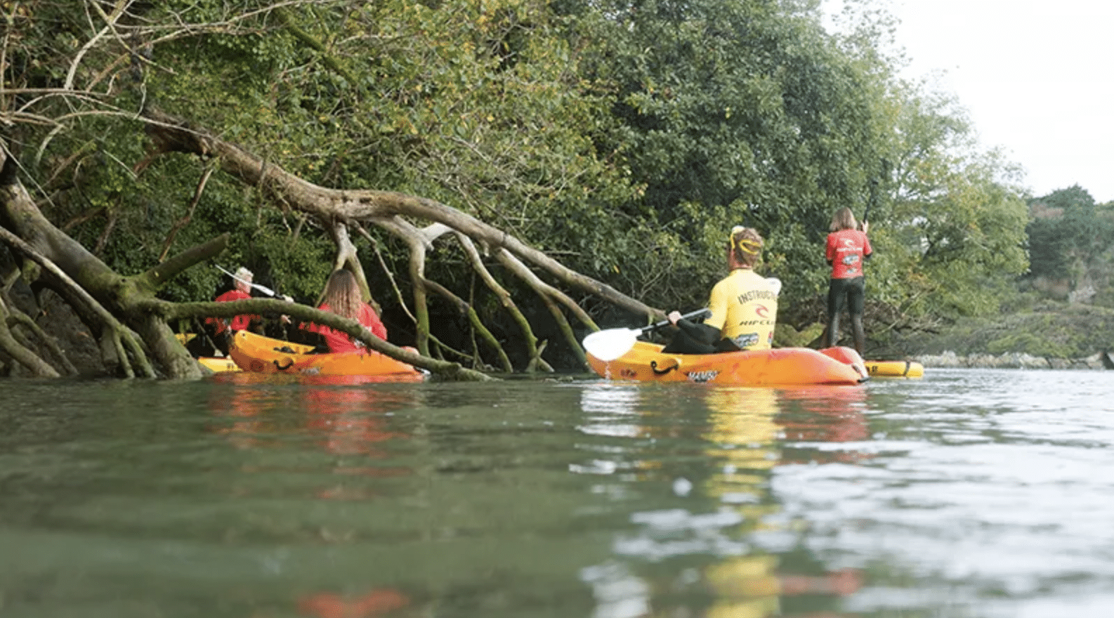 Gannel Estuary Kayak Tour in Newquay, photo 4