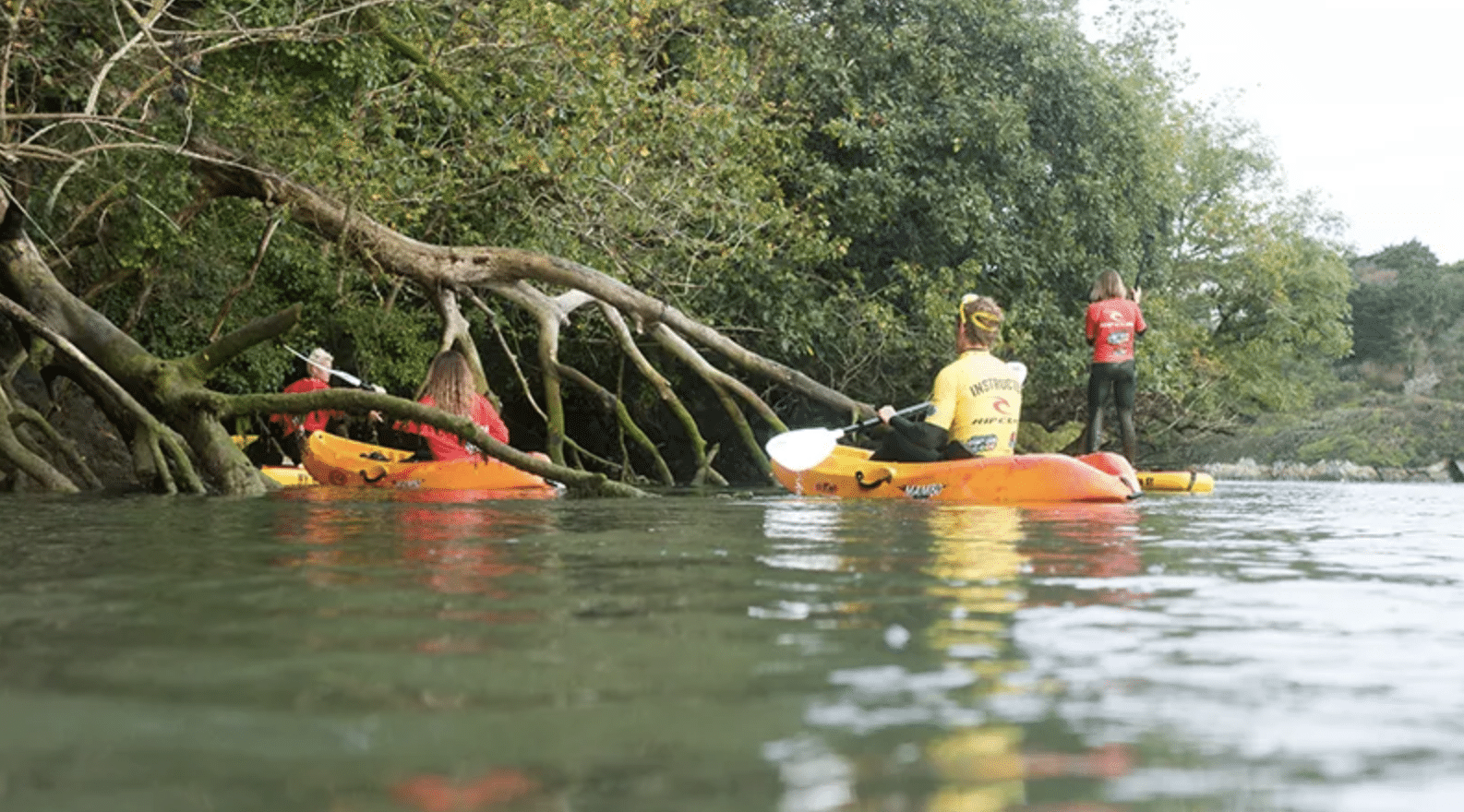 Kayak & Bushcraft Adventure in Newquay gallery 4