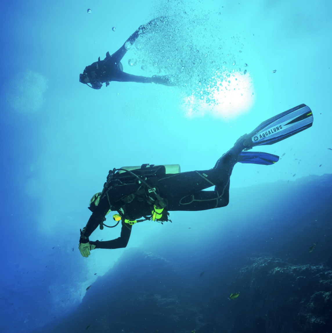 PADI ReActivate – Scuba Refresher, photo 3