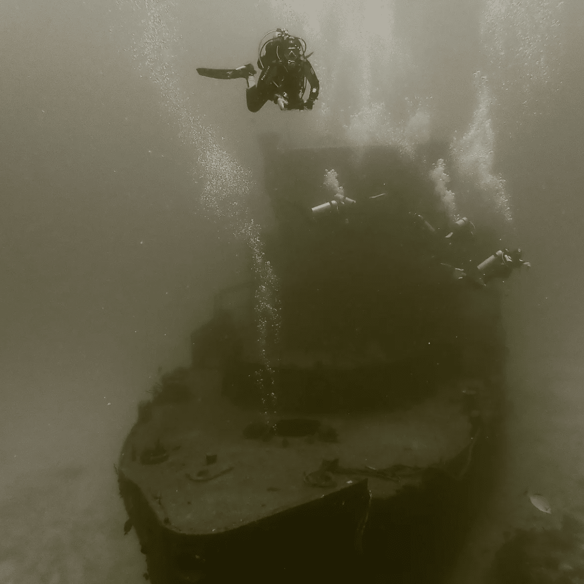 Guided Diving – You Choose The Location, photo 3