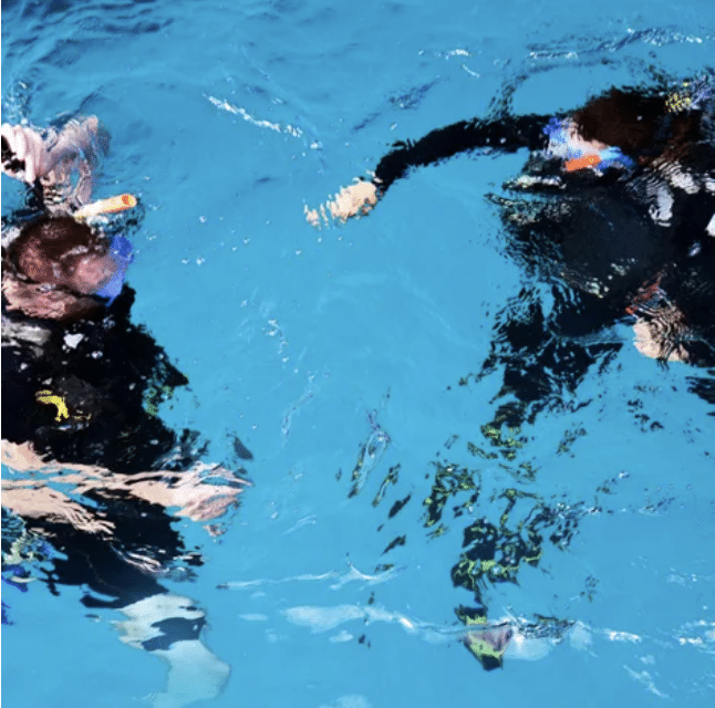PADI ReActivate – Scuba Refresher, photo 4